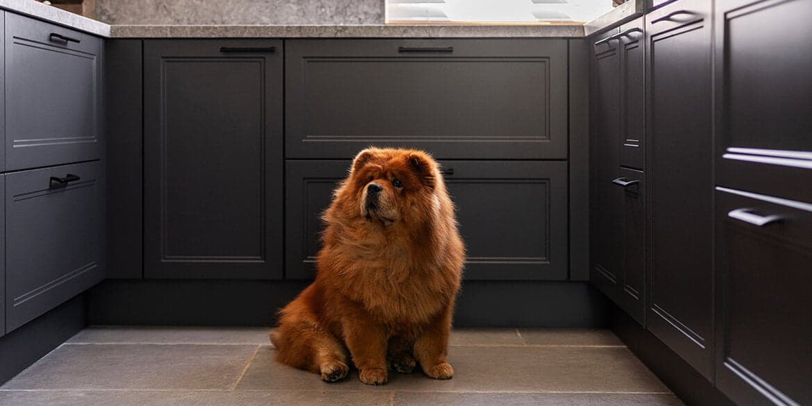 Binnenkijken bij Frank en Mariutta