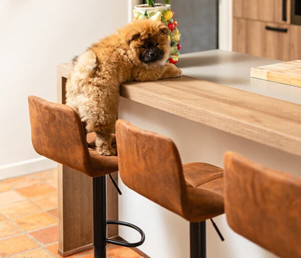 Van koken naar klinken: zo maak je van jouw keuken een gezellige borrelplek